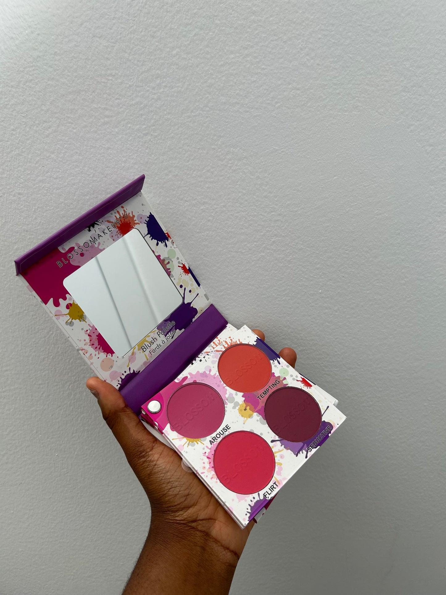Ensemble maquillage ( blush blossom makeup , fixateur sooo pro cosmetics)